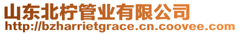 山東北檸管業(yè)有限公司