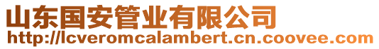 山東國(guó)安管業(yè)有限公司