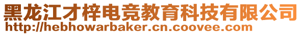 黑龍江才梓電競教育科技有限公司