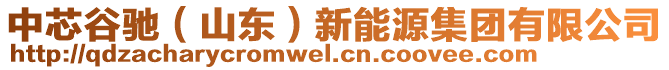 中芯谷馳（山東）新能源集團(tuán)有限公司