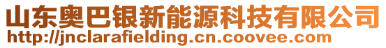 山東奧巴銀新能源科技有限公司