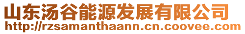 山東湯谷能源發(fā)展有限公司