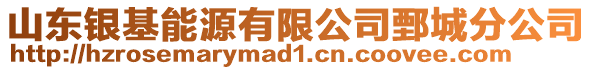 山東銀基能源有限公司鄄城分公司