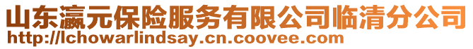 山東瀛元保險服務(wù)有限公司臨清分公司