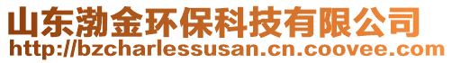 山東渤金環(huán)保科技有限公司