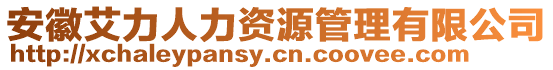 安徽艾力人力資源管理有限公司