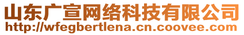 山東廣宣網(wǎng)絡(luò)科技有限公司