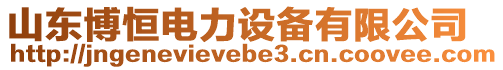 山東博恒電力設備有限公司