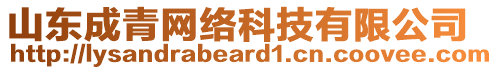 山東成青網(wǎng)絡(luò)科技有限公司