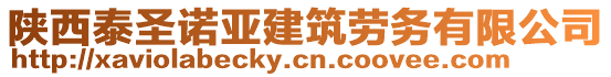 陜西泰圣諾亞建筑勞務(wù)有限公司