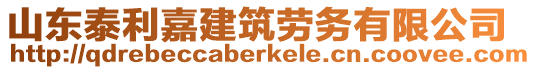 山東泰利嘉建筑勞務(wù)有限公司