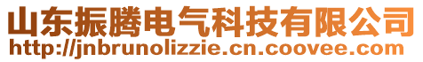 山東振騰電氣科技有限公司