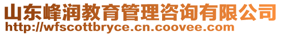 山東峰潤教育管理咨詢有限公司