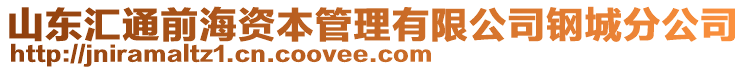 山東匯通前海資本管理有限公司鋼城分公司