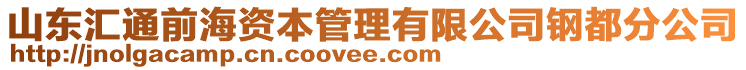 山東匯通前海資本管理有限公司鋼都分公司