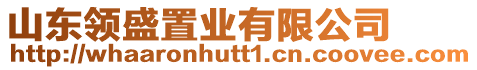 山東領(lǐng)盛置業(yè)有限公司