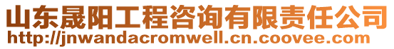 山東晟陽工程咨詢有限責(zé)任公司