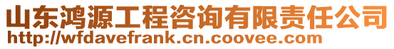 山東鴻源工程咨詢有限責(zé)任公司