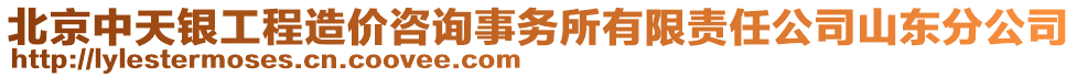 北京中天銀工程造價咨詢事務(wù)所有限責(zé)任公司山東分公司