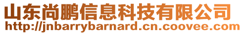 山東尚鵬信息科技有限公司