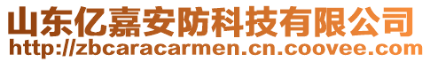 山東億嘉安防科技有限公司