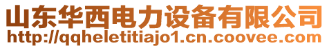 山東華西電力設(shè)備有限公司