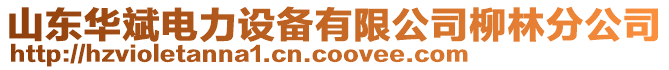 山東華斌電力設(shè)備有限公司柳林分公司