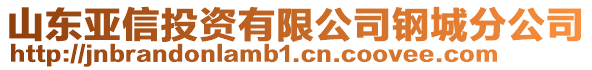 山東亞信投資有限公司鋼城分公司