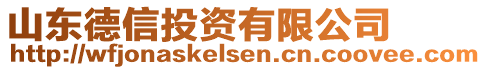 山東德信投資有限公司