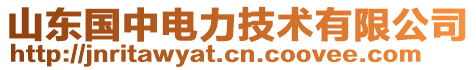 山東國中電力技術(shù)有限公司