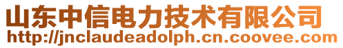 山東中信電力技術有限公司