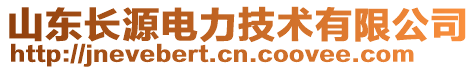 山東長源電力技術(shù)有限公司