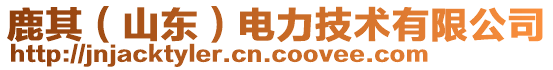 鹿其（山東）電力技術(shù)有限公司