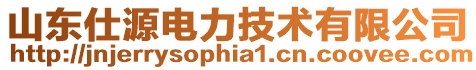 山東仕源電力技術有限公司