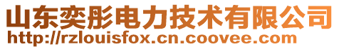 山東奕彤電力技術(shù)有限公司