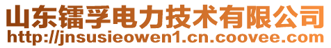 山東鐳孚電力技術(shù)有限公司