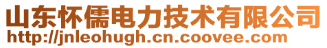 山東懷儒電力技術(shù)有限公司