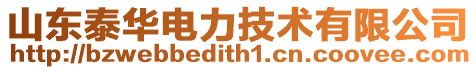 山東泰華電力技術(shù)有限公司