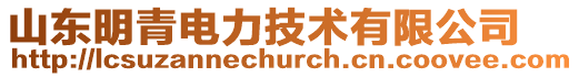 山東明青電力技術有限公司