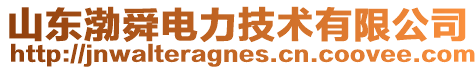 山東渤舜電力技術有限公司