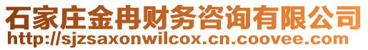 石家莊金冉財(cái)務(wù)咨詢有限公司