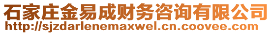 石家莊金易成財(cái)務(wù)咨詢有限公司