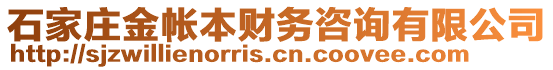 石家莊金帳本財務(wù)咨詢有限公司