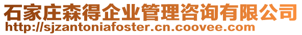 石家莊森得企業(yè)管理咨詢有限公司