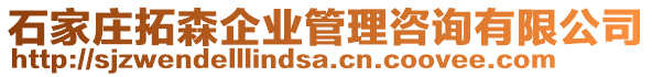 石家莊拓森企業(yè)管理咨詢有限公司