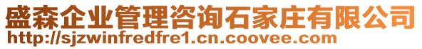 盛森企業(yè)管理咨詢石家莊有限公司