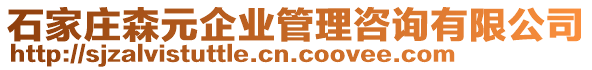 石家莊森元企業(yè)管理咨詢有限公司