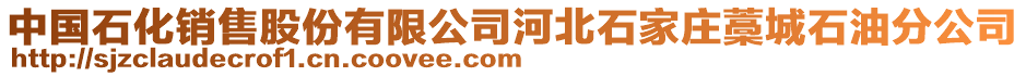 中國(guó)石化銷售股份有限公司河北石家莊藁城石油分公司