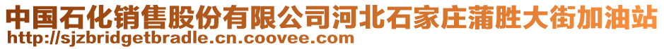 中國石化銷售股份有限公司河北石家莊蒲勝大街加油站