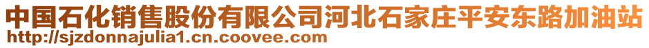 中國石化銷售股份有限公司河北石家莊平安東路加油站